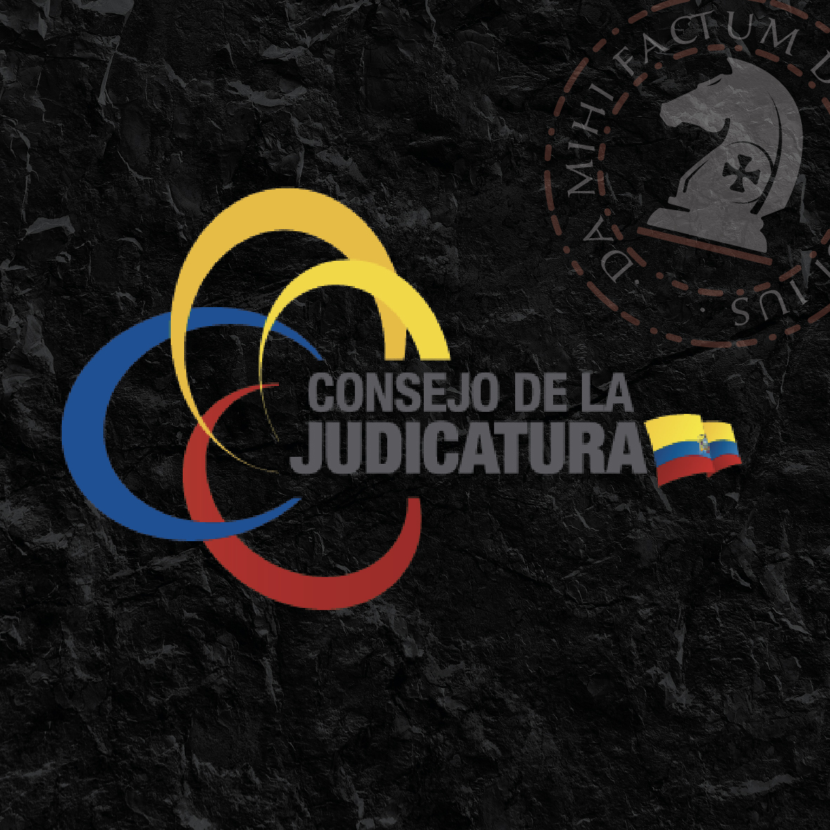 servicios%20effectum 10